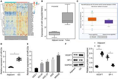 Gastric Cancer Cell-Derived Exosomal microRNA-23a Promotes Angiogenesis by Targeting PTEN